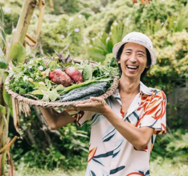 Common Vegetables In Japan