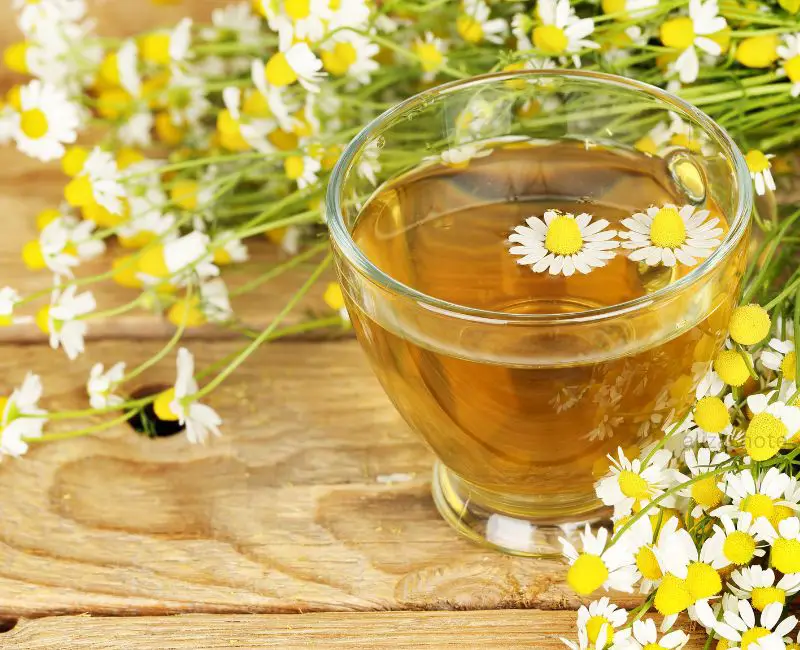 How To Make Chamomile Tea Taste Better