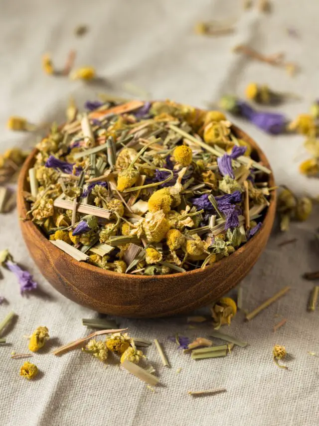 Chamomile Flowers