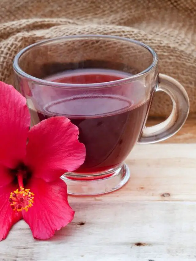 How To Make Hibiscus Tea From Fresh Hibiscus Flowers