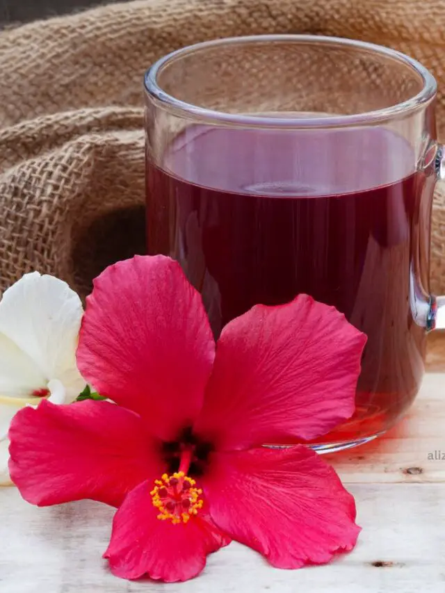 cropped-hibiscus-tea.jpg