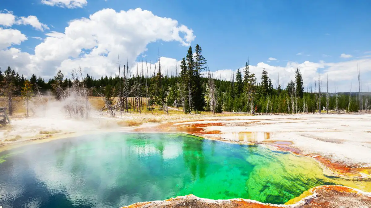 Yellowstone National Park