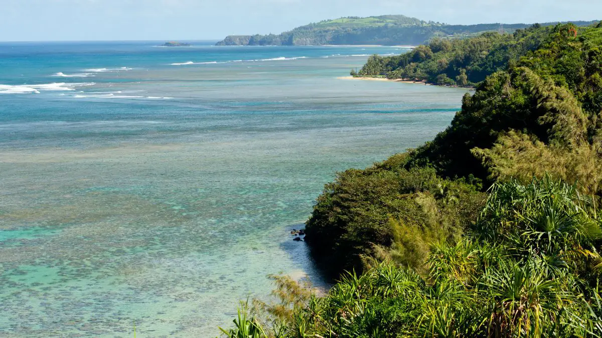 Anini Beach