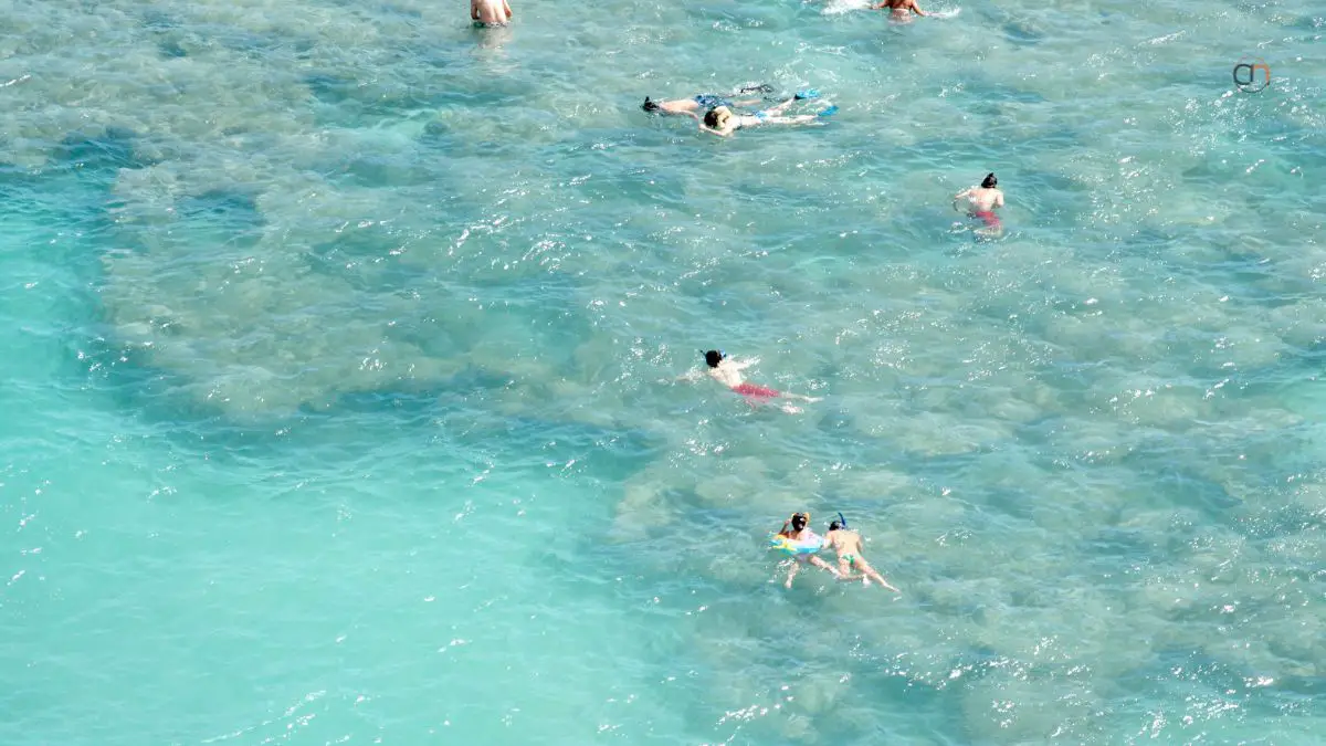 Hanauma Bay
