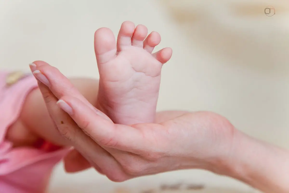 Baby Foot