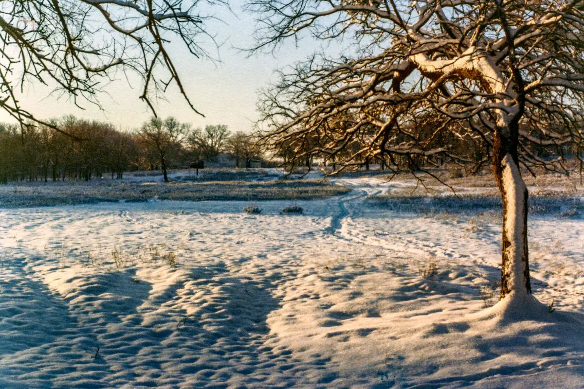 Best Texas Winter Vacations
