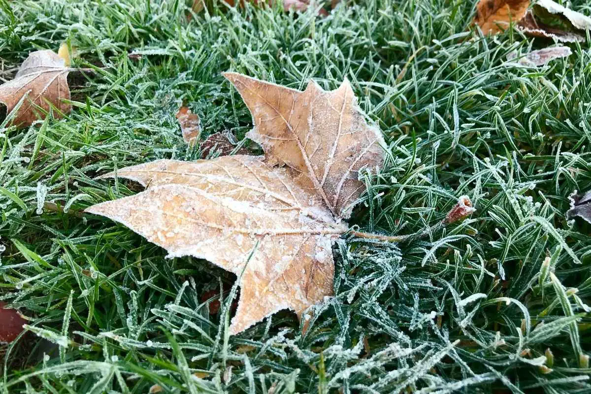 Comfortable Weather