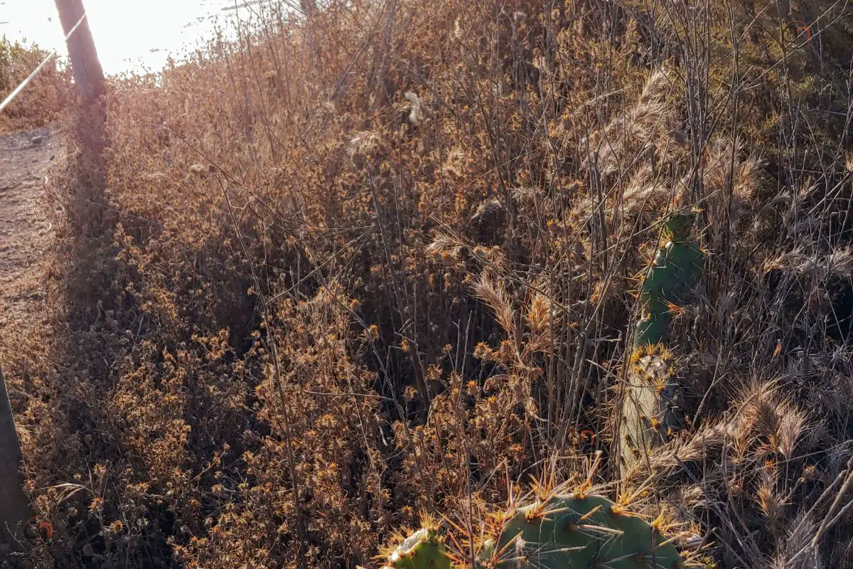 Coolest Places to hike in the us