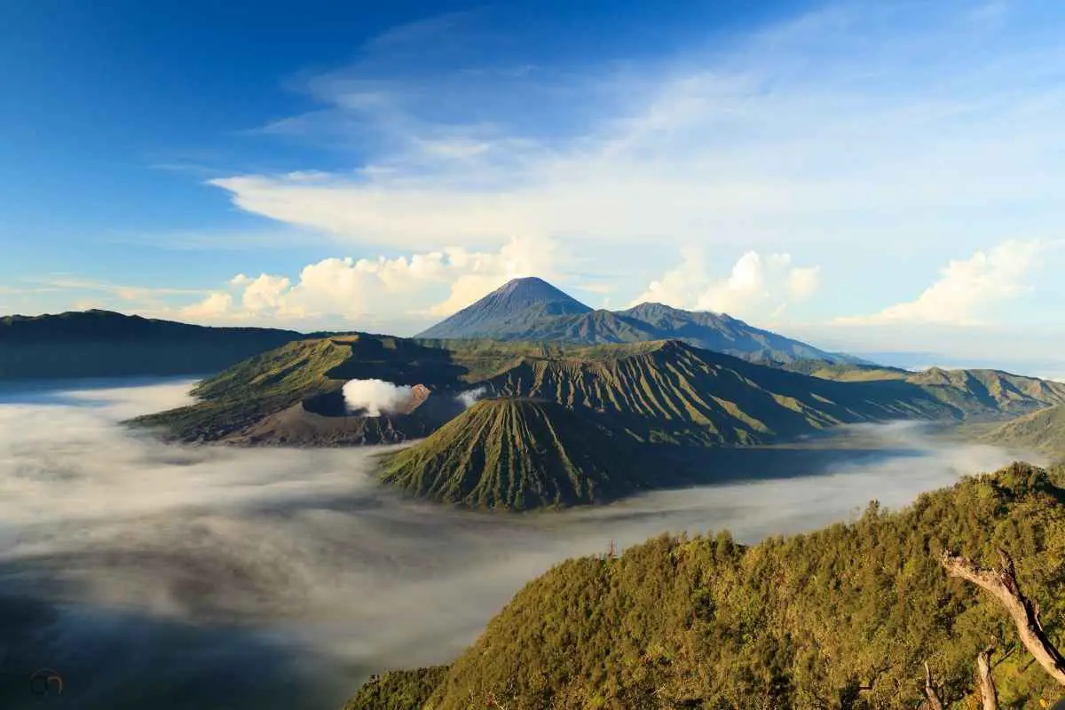 Java Island