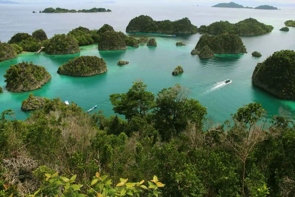 Papua