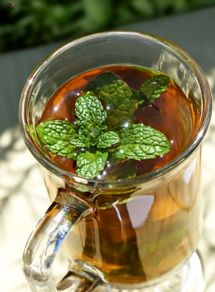 Peppermint Tea
