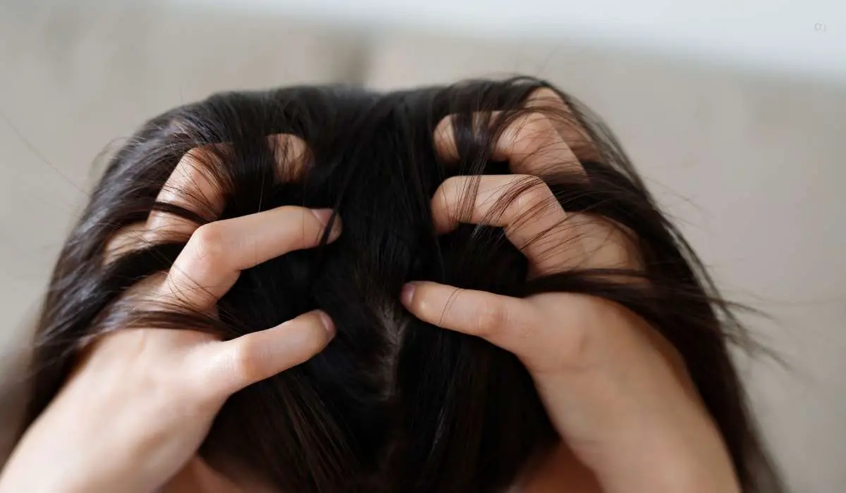 Things To Avoid Dandruff