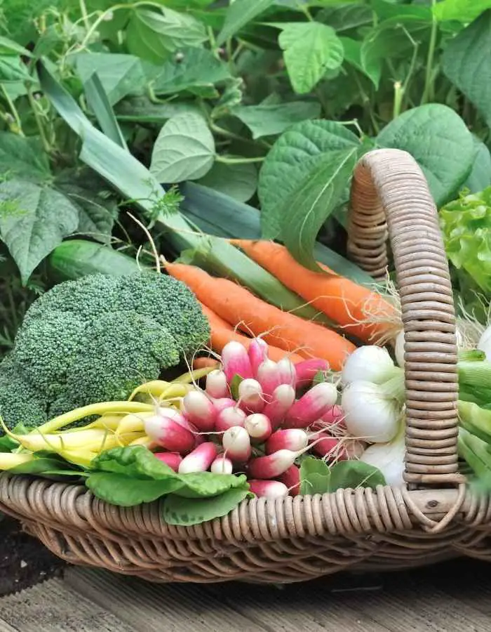 Vegetable For Skin