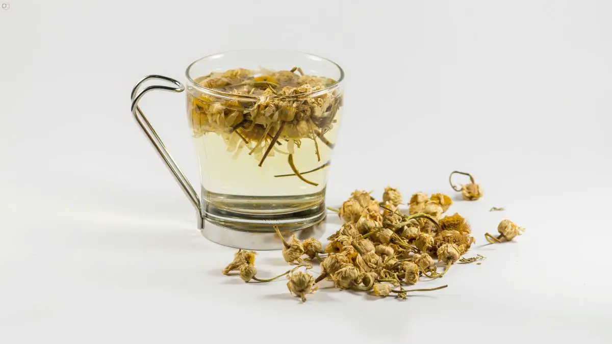How To Make Chamomile Tea From Dried Flowers