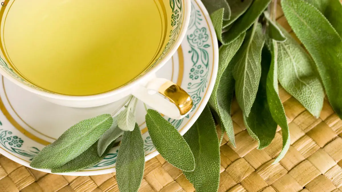 How To Make Sage Tea From Fresh Leaves