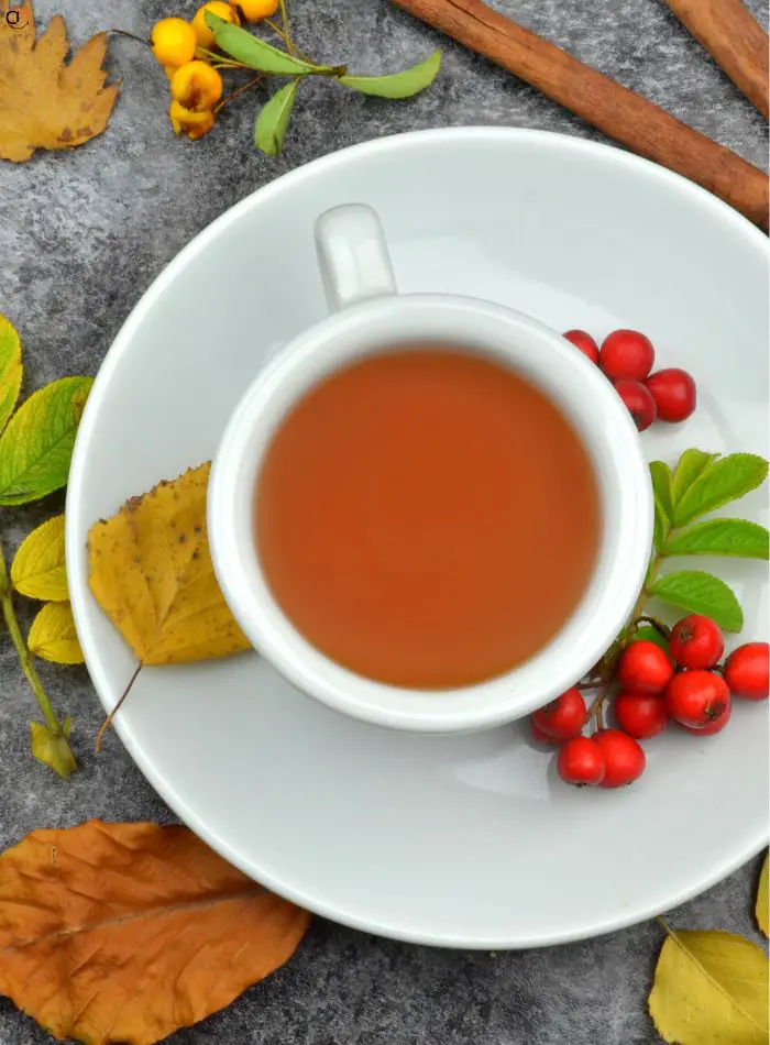 Rooibos Tea
