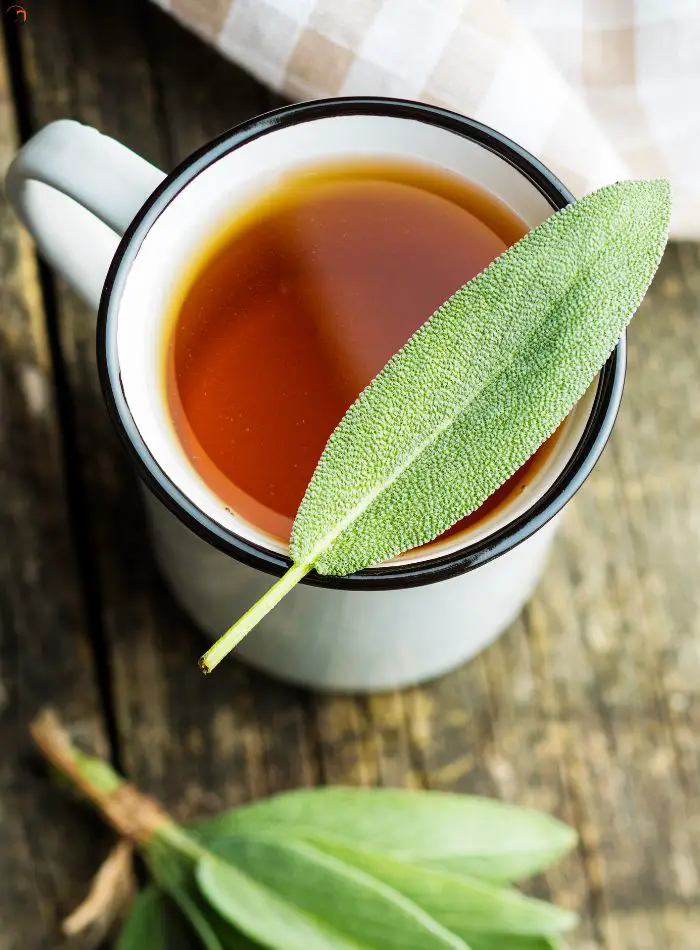 Sage Tea