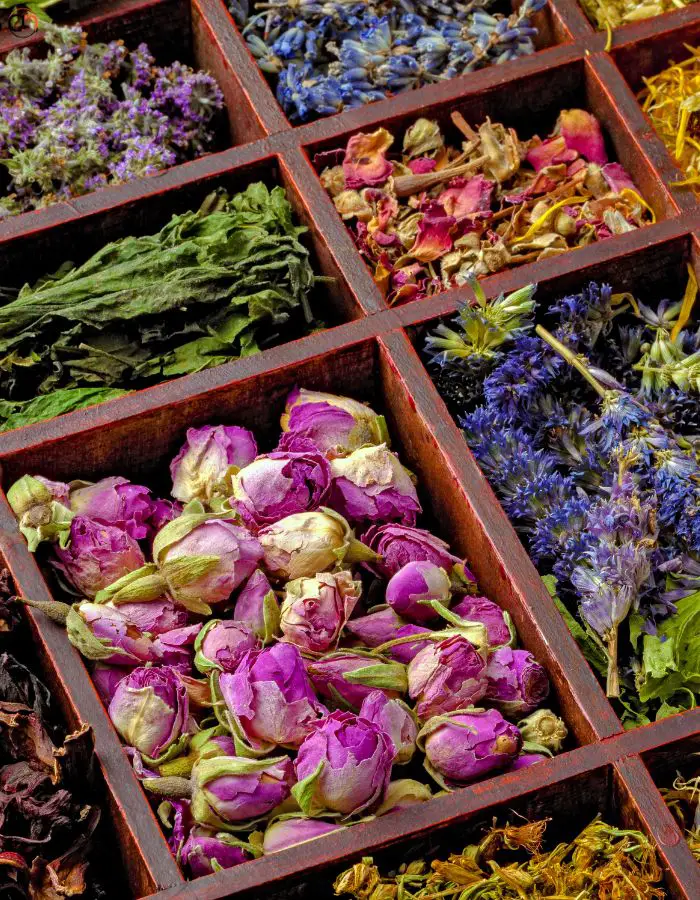 Herbs For Tea