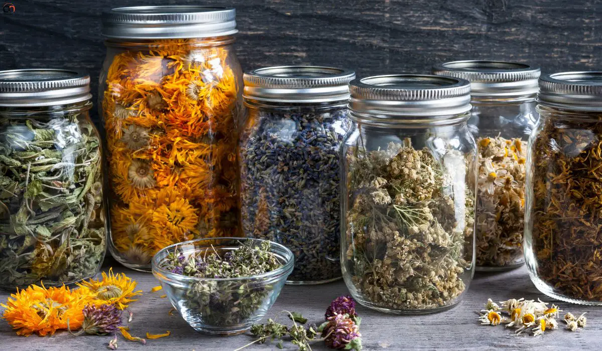 Natural Herbs For Tea