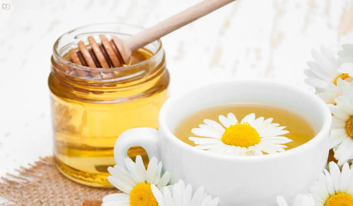 Best Tea For Non Tea Drinkers
