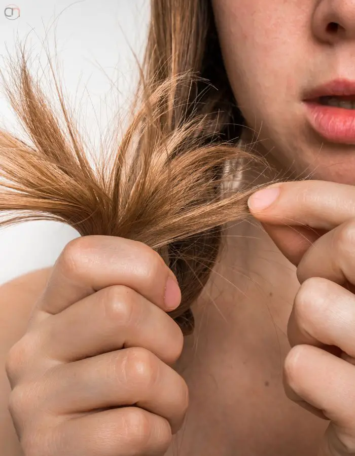 Dry Hair