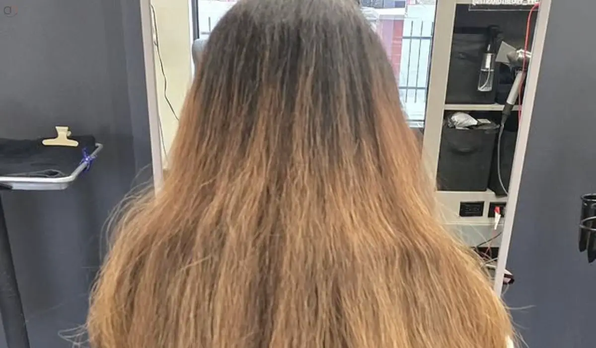 How To Moisturize Dry Hair Without Washing