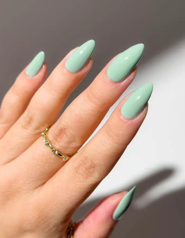 Spring Vibes