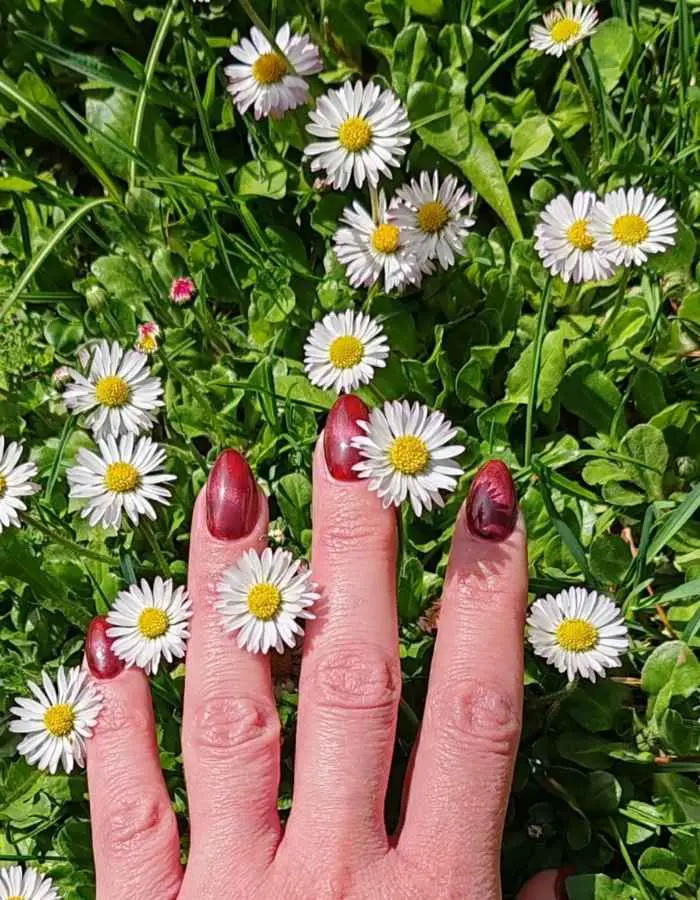 French Nails