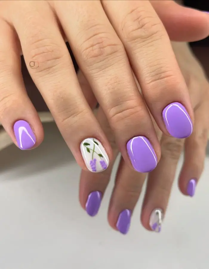 lavender inspired