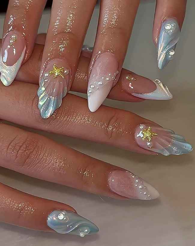 3D Shell Star Designs