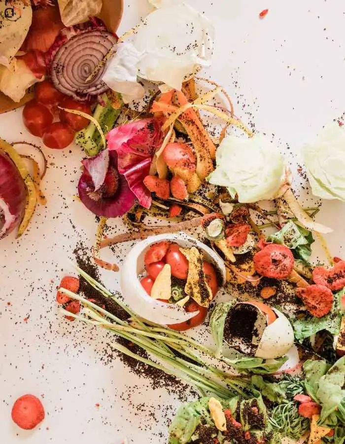Gut Healing Food