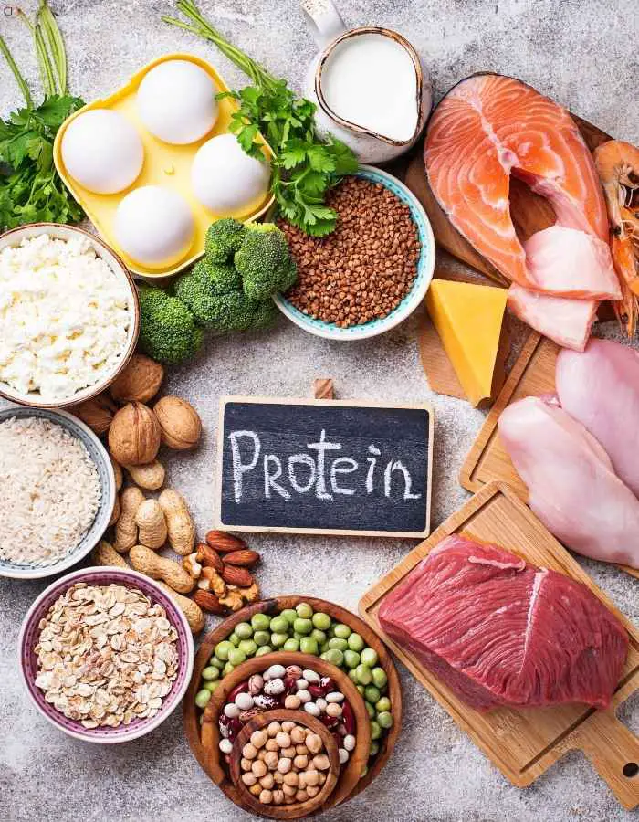High Protein Food