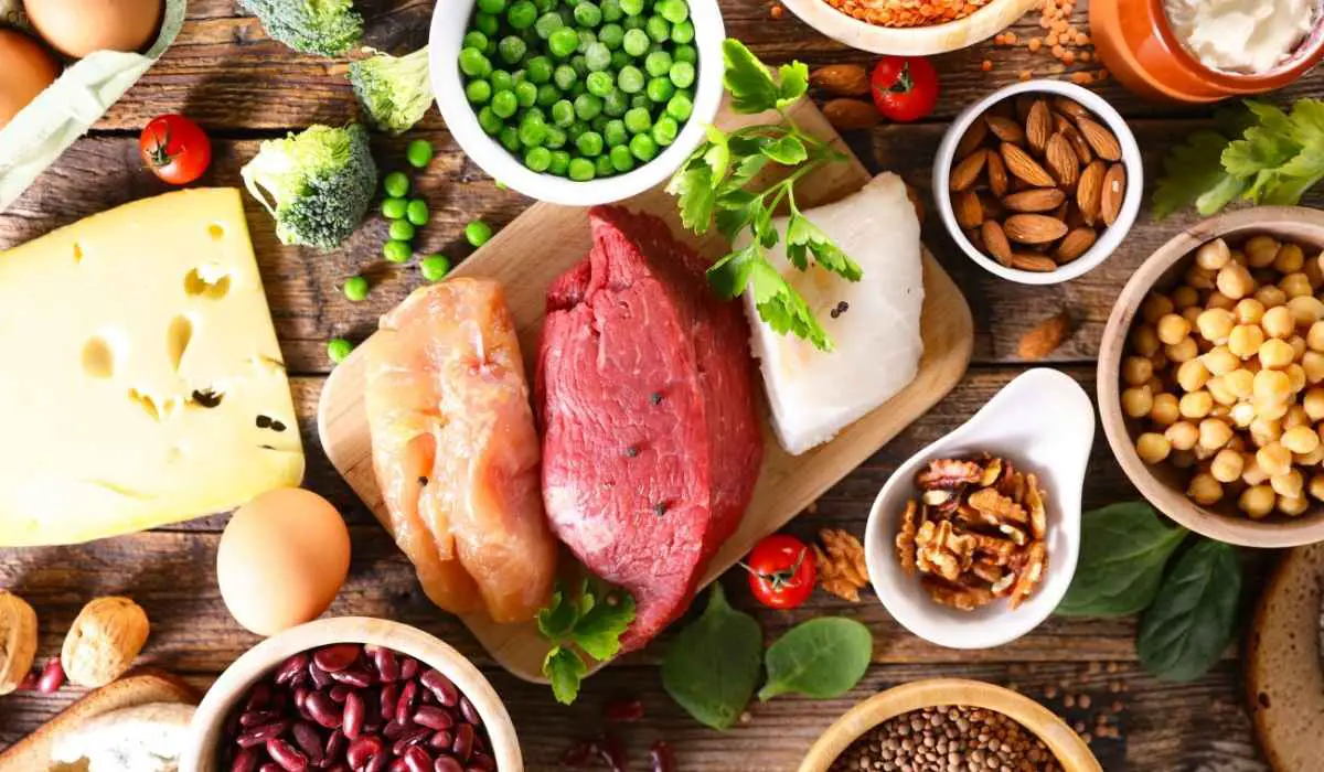 High Protein Foods