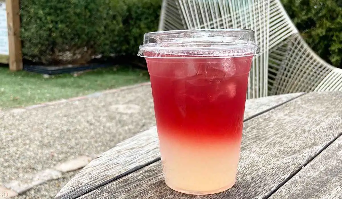 Hummingbird Food Recipe