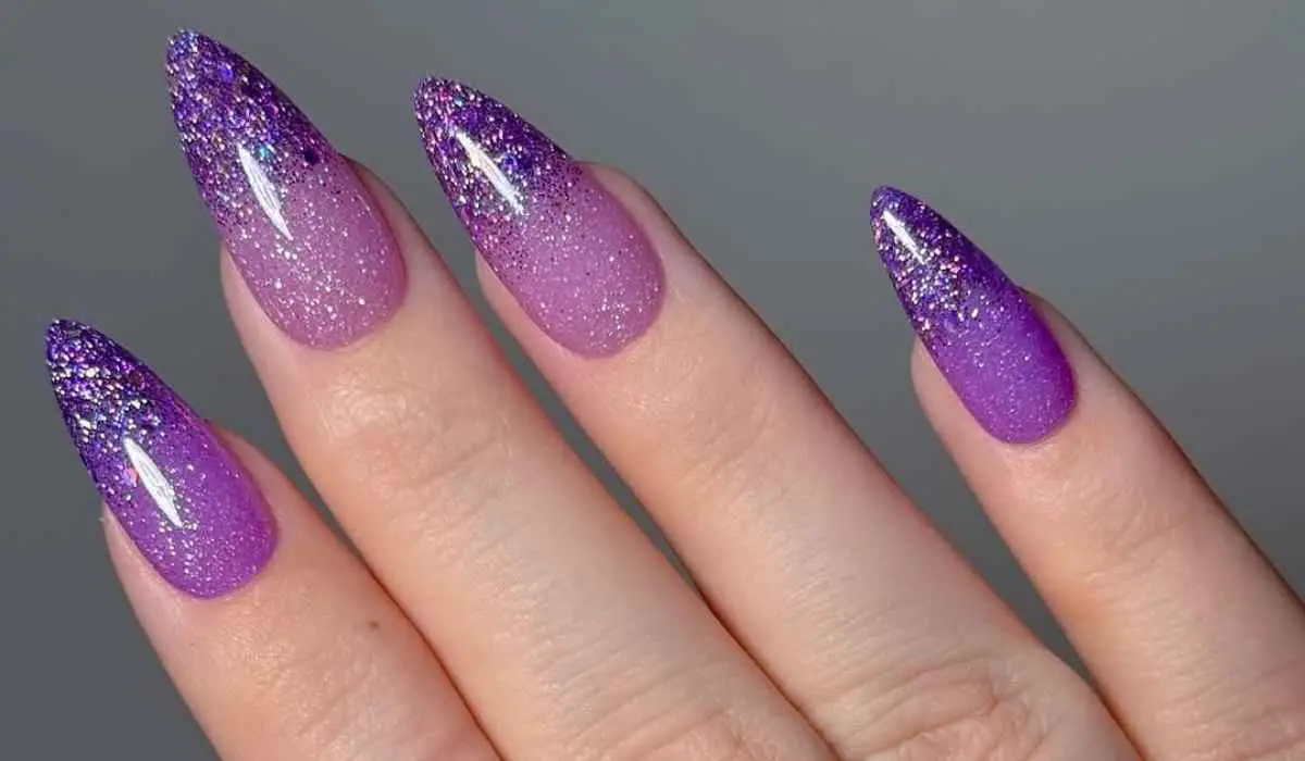 Winter Dip Nails