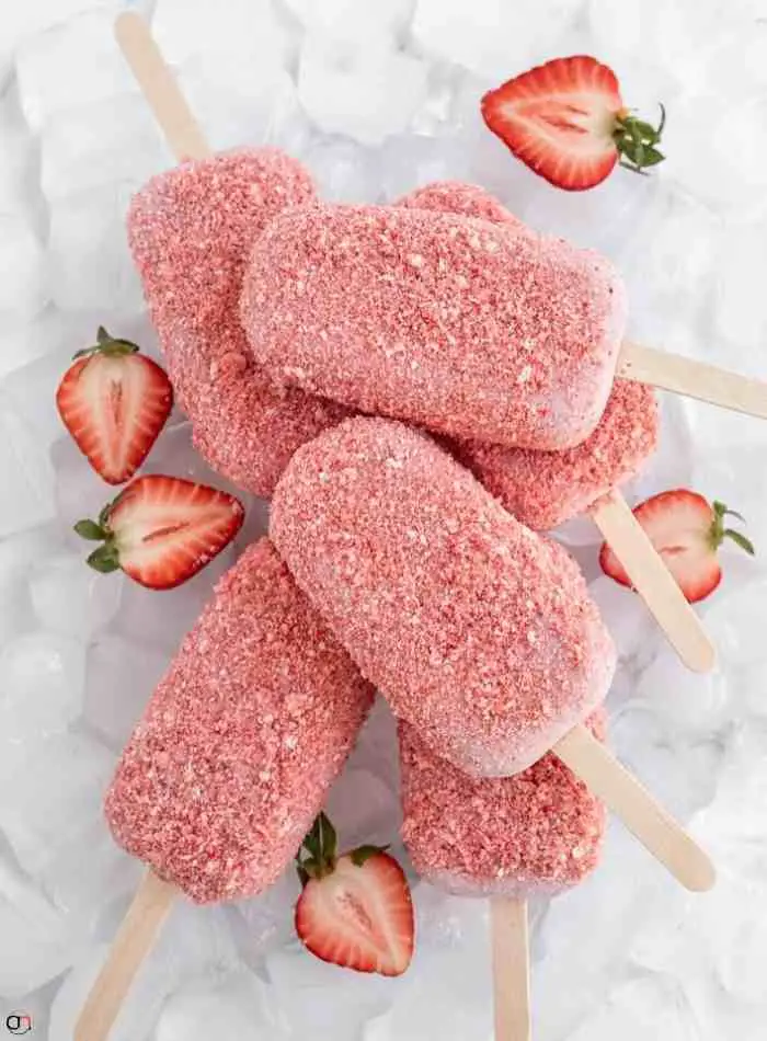 Coconut Milk Popsicles