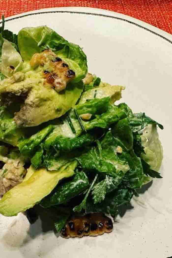 Grilled Corn and Avocado Salad