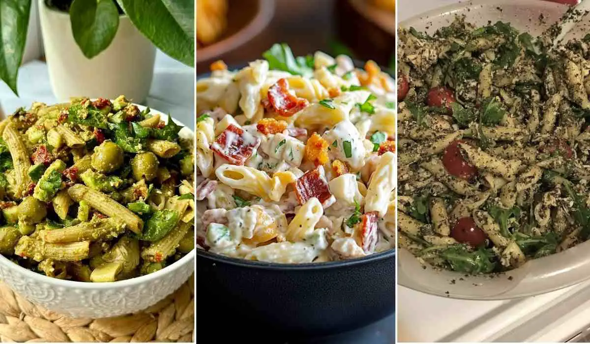 Pasta Salad Recipes Cold