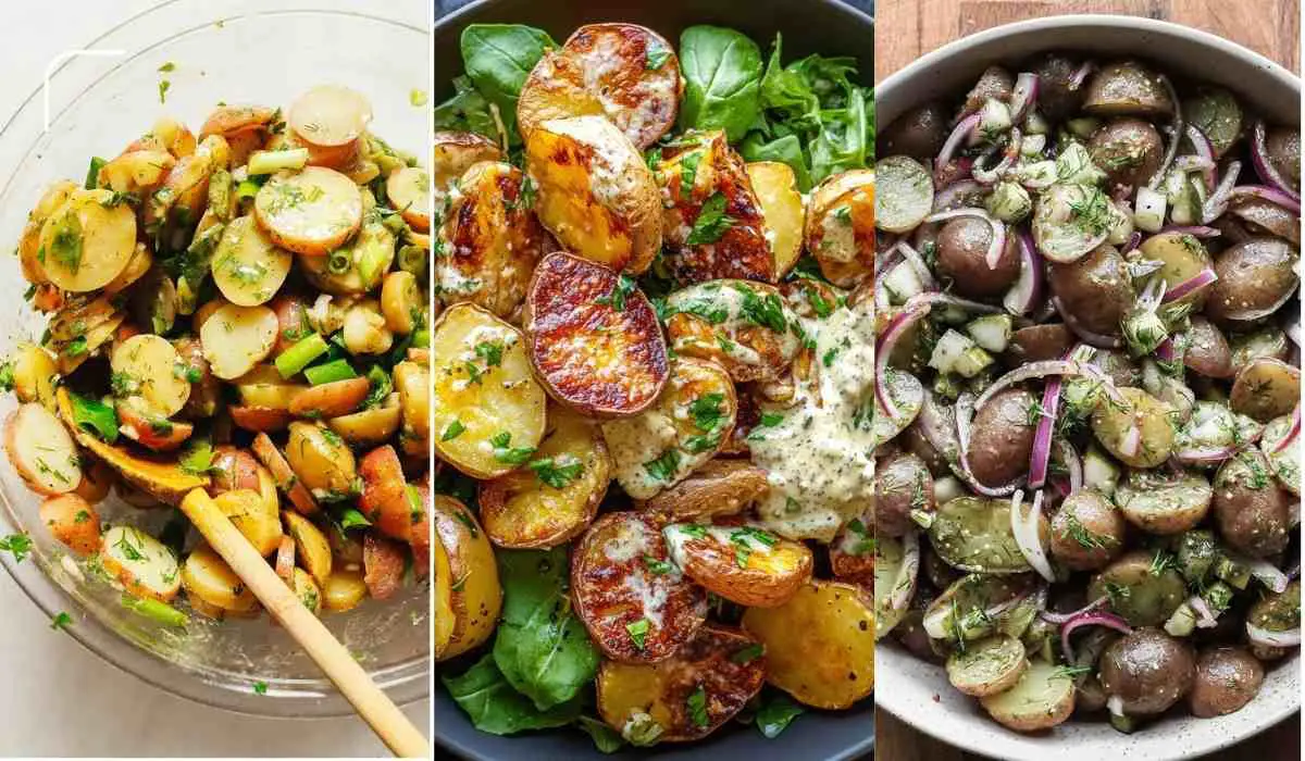 Potato Salad Recipes