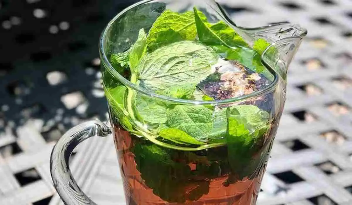 Sun Tea Recipe