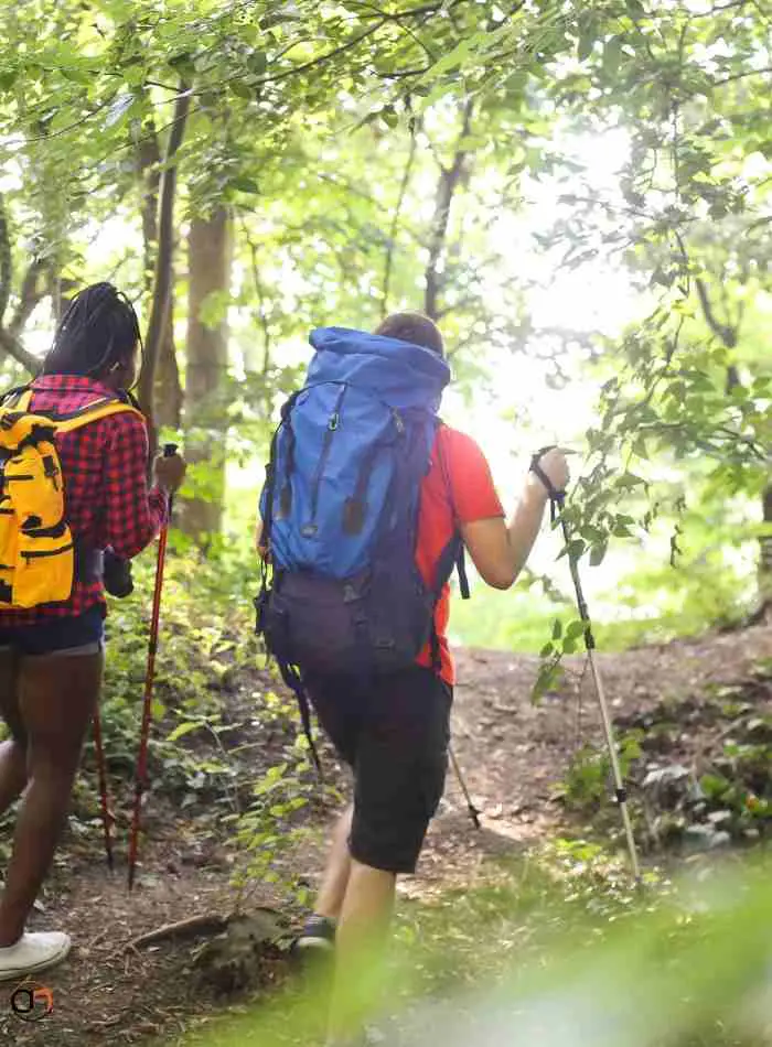 Hiking