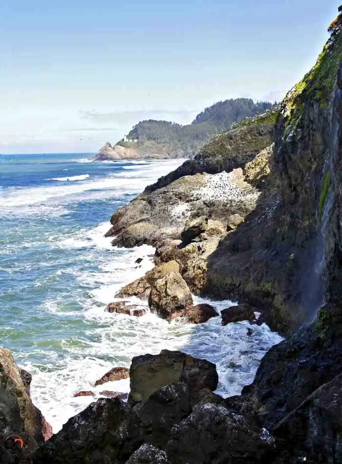 Oregon Coast