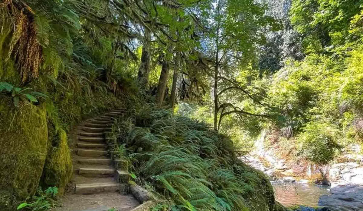 Oregon Travel